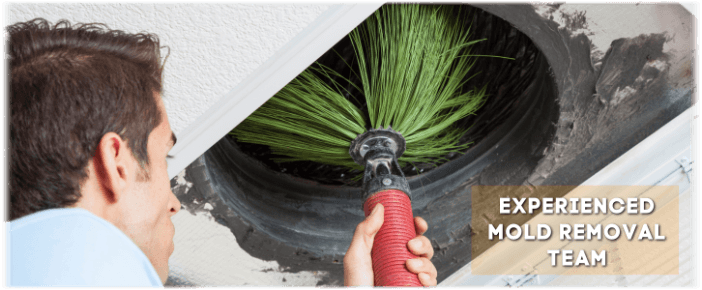 Air Duct Mold Removal in Carpentersville IL
